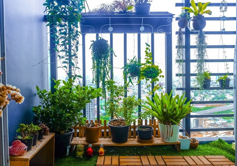 balcony-garden-hanging-plants