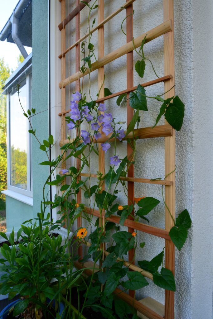 balcony-vertical-garden