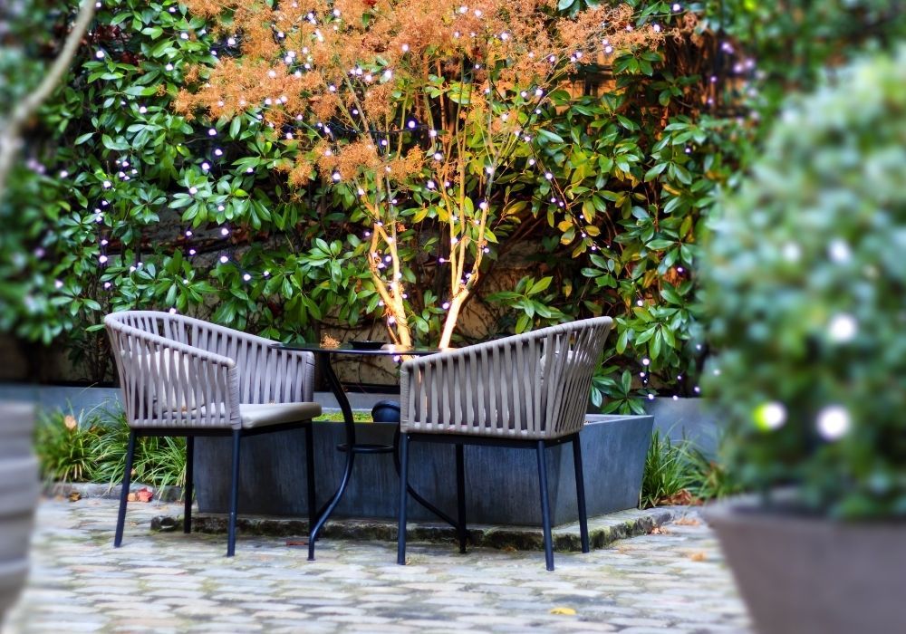 patio-table-and-chairs-in-a-winter-garden