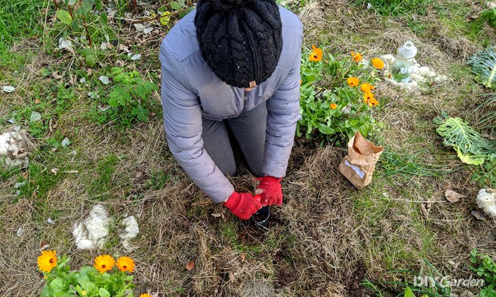 planting-bulbs-in-clay-soil