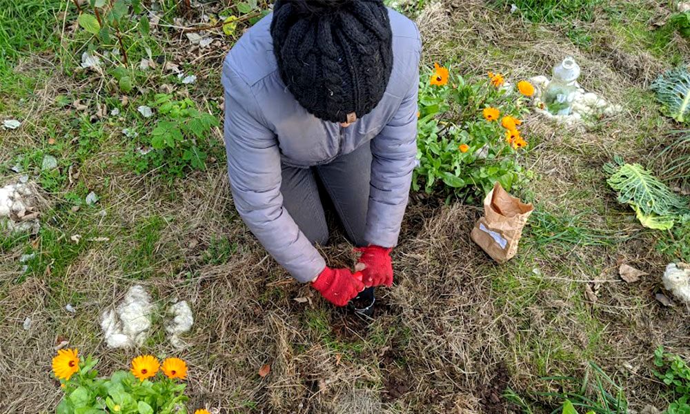 planting-bulbs-in-clay-soil