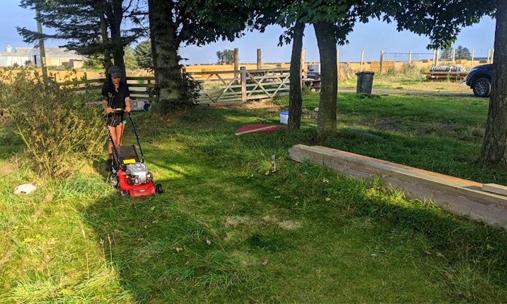 best-lawn-mower-for-long-wet-grass-uk