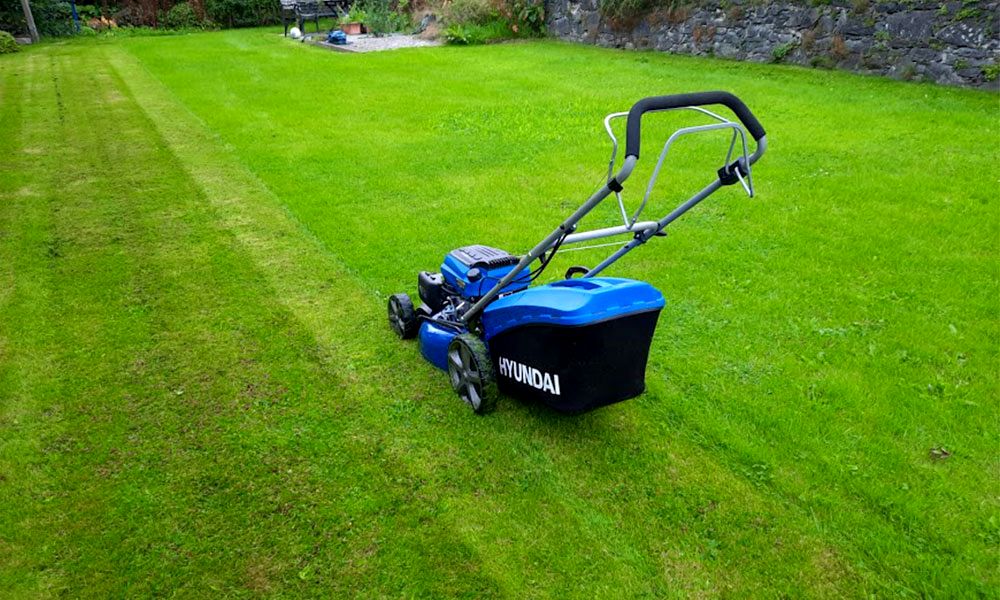 best-lawn-mower-for-stripes-uk