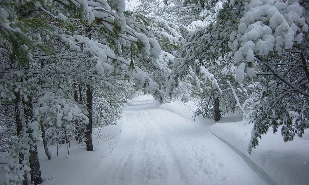 11号uk下雪统计事实