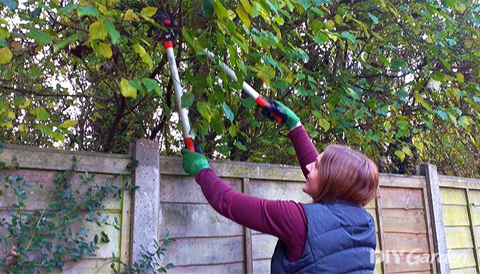 Pine-Tree-Bamboo-Gardening-Gloves