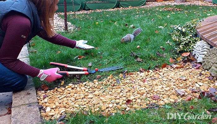 Pink-Viridescent-Leather-Gardening-Gloves-review